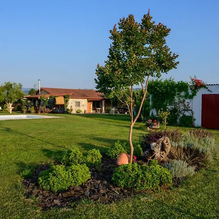 Feriehus Casa Barxelo Con Piscina En